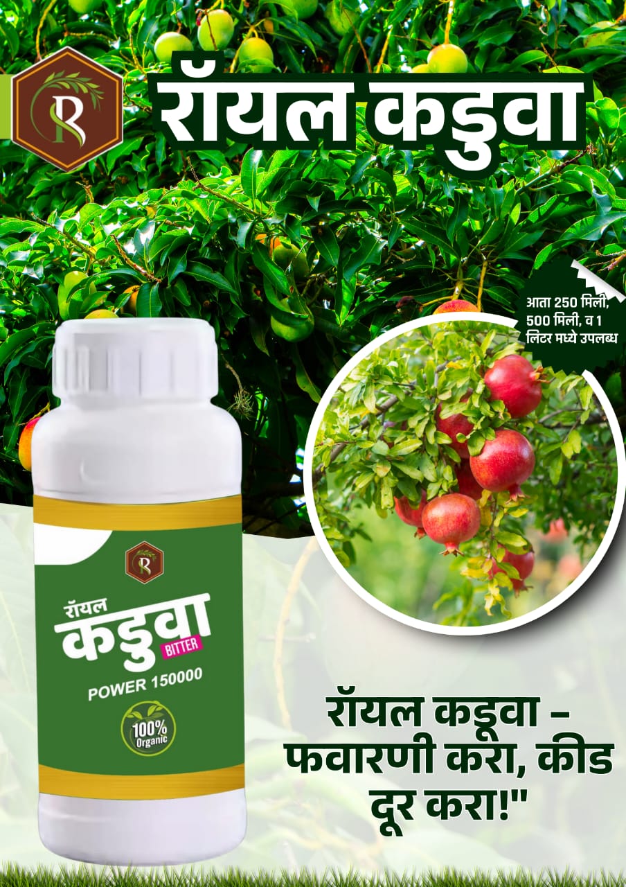 रॉयल कडुआ