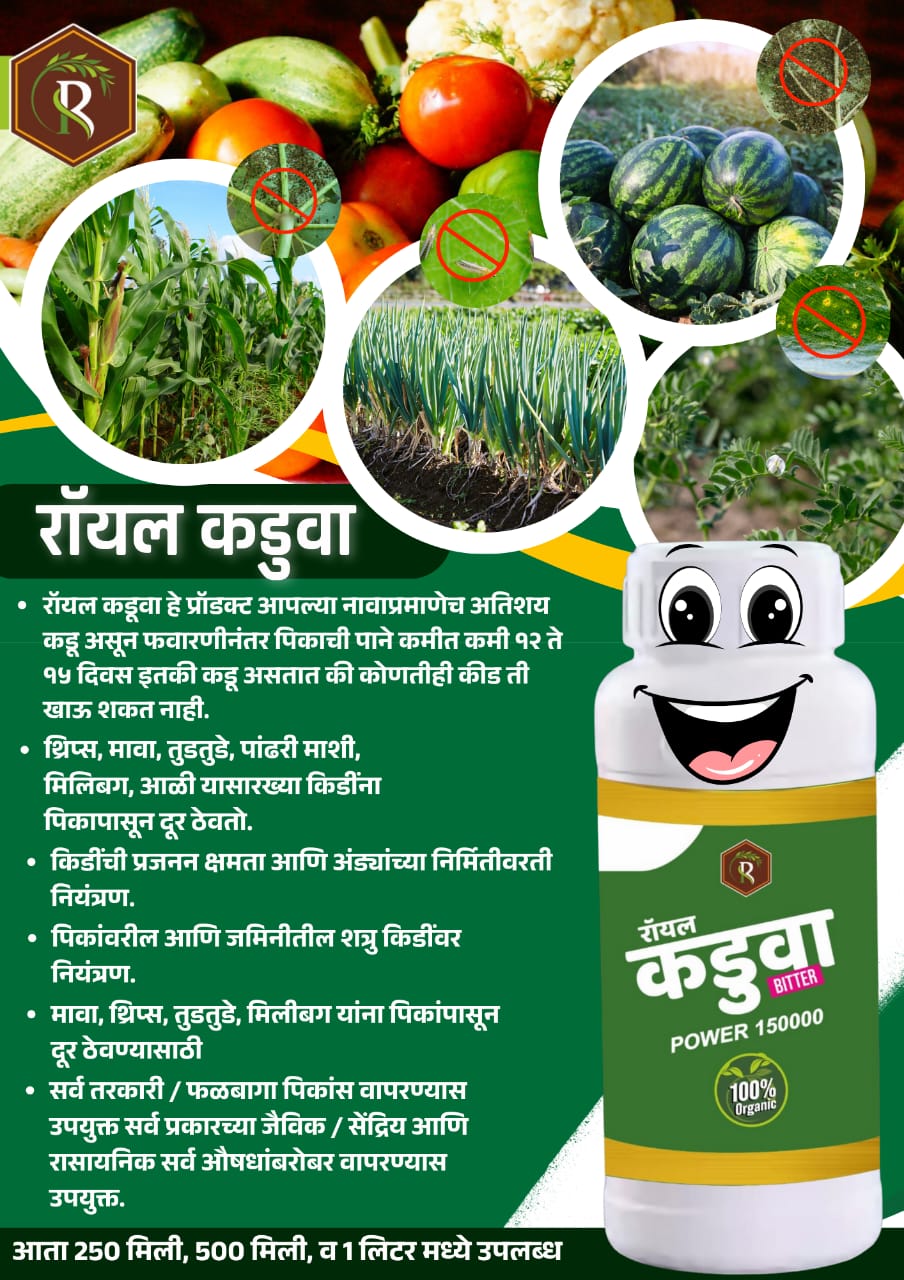 रॉयल कडुआ