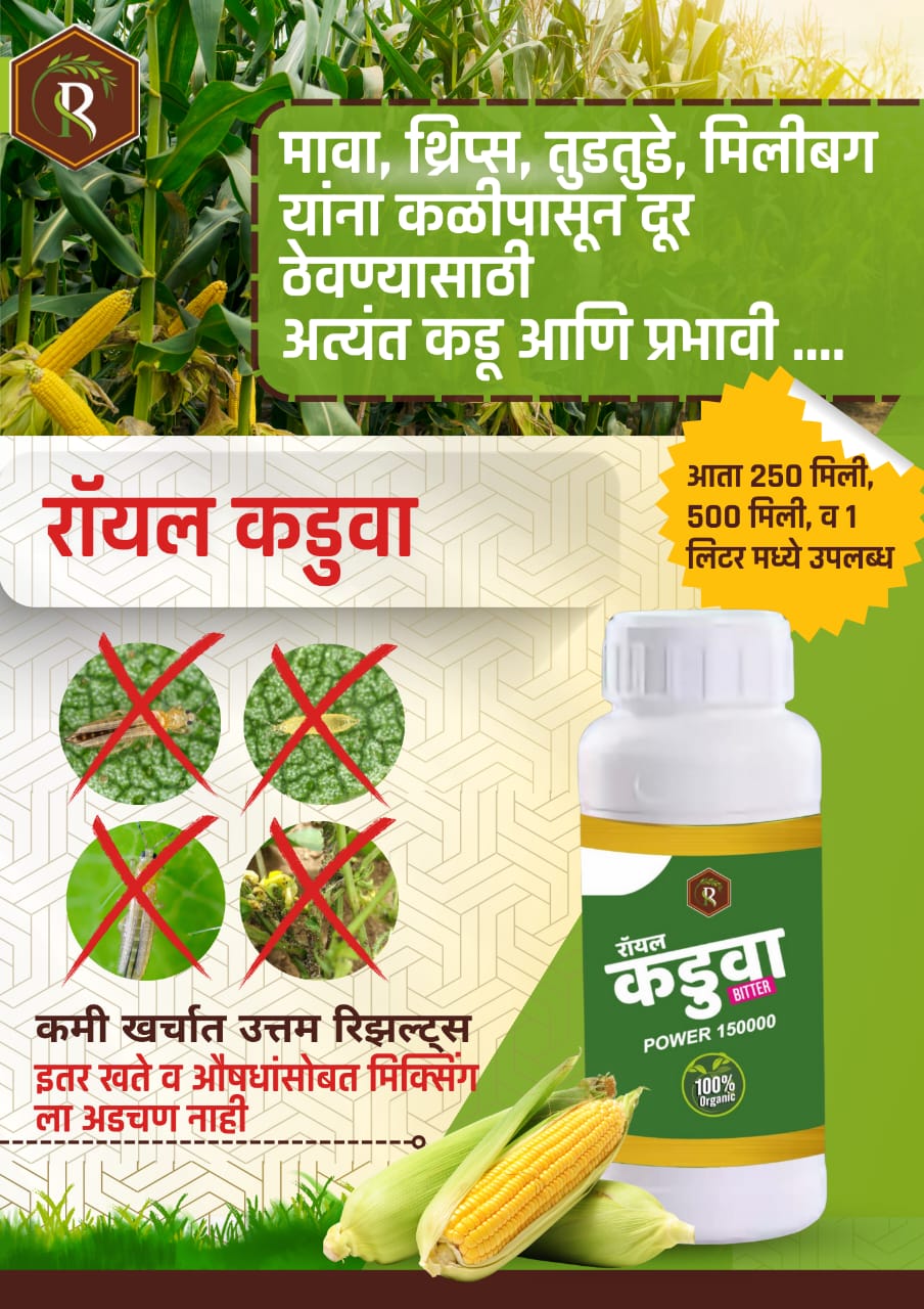 रॉयल कडुआ