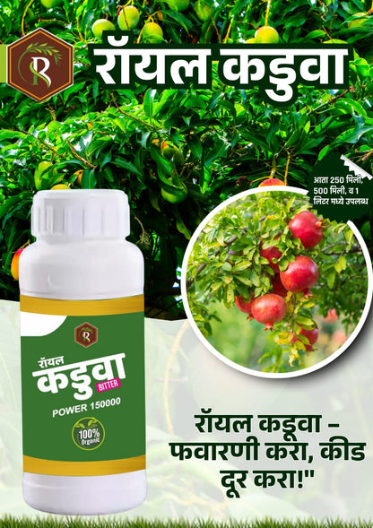 रॉयल कडुआ